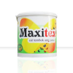 Cat tembok anti jamur